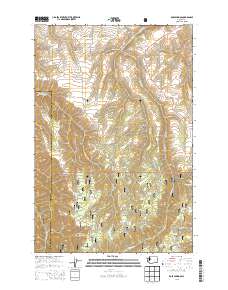 2013 Map of Rose Springs, 2013 Print