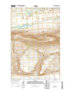 2013 Map of Royal Camp, 2013 Print