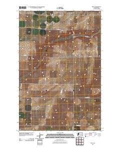 2011 Map of Ruff, 2011 Print
