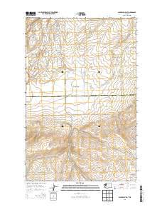 2014 Map of Sagebrush Flat, 2014 Print