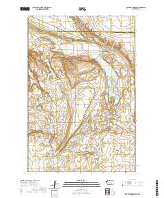 2020 Map of Scooteney Reservoir, 2020 Print
