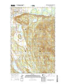 2014 Map of Sedro-Woolley South, 2014 Print