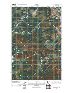 2011 Map of Shelton Valley, 2011 Print