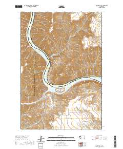 2020 Map of Silcott Island, 2020 Print
