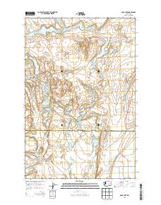 2013 Map of Soda Lake, 2013 Print
