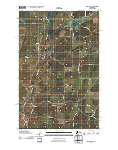 2011 Map of Spring Valley, 2011 Print
