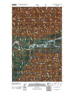 2011 Map of Spruce Mountain, 2011 Print