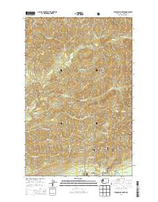 2014 Map of Stequaleho Creek, 2014 Print