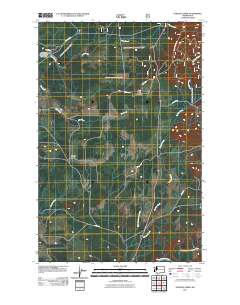 2011 Map of Stevens Creek, 2011 Print