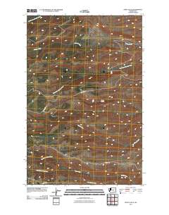 2011 Map of Stray Gulch, 2011 Print