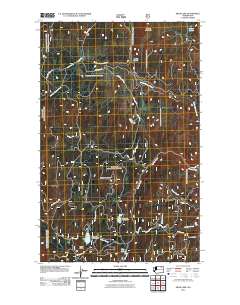 2011 Map of Swan Lake, 2011 Print