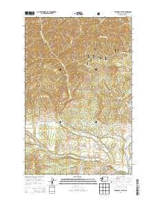 2014 Map of Teanaway Butte, 2014 Print