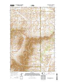 2014 Map of Tekoa Mountain, 2014 Print
