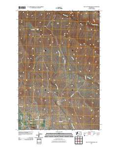 2011 Map of The Cottonwoods, 2011 Print