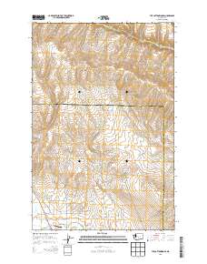 2013 Map of The Cottonwoods, 2013 Print