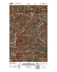 2011 Map of Thirteenmile Creek, 2011 Print