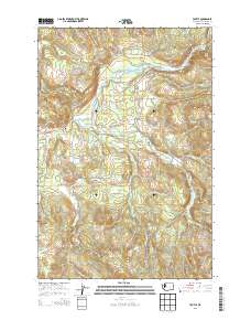2013 Map of Toutle, 2013 Print