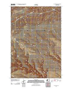 2011 Map of Tule Prong, 2011 Print