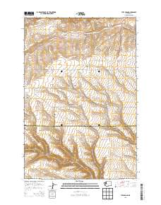 2013 Map of Tule Prong, 2013 Print
