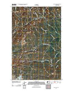 2011 Map of Turtle Lake, 2011 Print