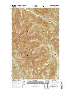2014 Map of Twin Sisters Mountain, 2014 Print