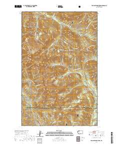 2020 Map of Twin Sisters Mountain, 2020 Print