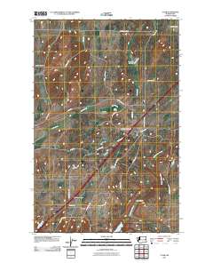 2011 Map of Tyler, 2011 Print