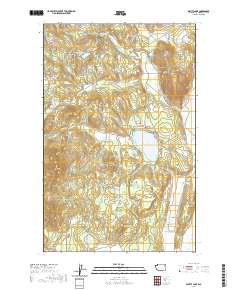 2020 Map of Waitts Lake, 2020 Print