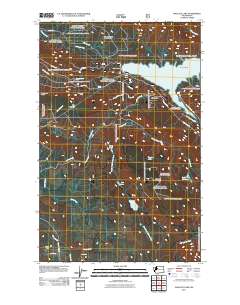 2011 Map of Wallace Lake, 2011 Print