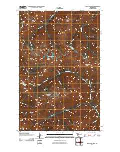 2011 Map of Wellesley Peak, 2011 Print