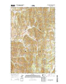 2014 Map of Wellington Peak, 2014 Print