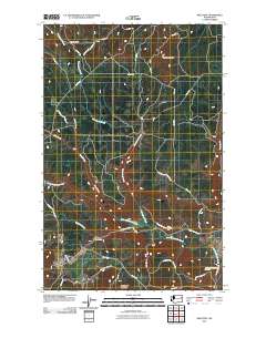 2011 Map of Wellpinit, 2011 Print
