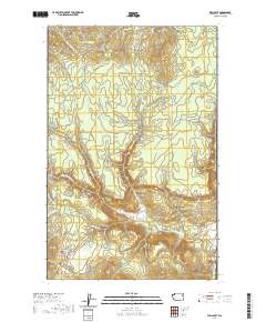 2020 Map of Wellpinit, 2020 Print