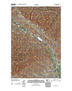 2011 Map of Wenas Lake, 2011 Print