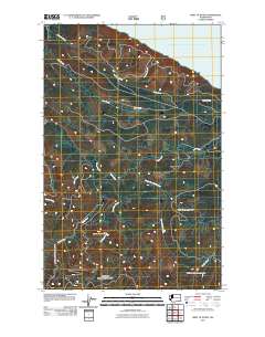 2011 Map of West of Pysht, 2011 Print