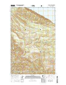 2014 Map of West of Pysht, 2014 Print