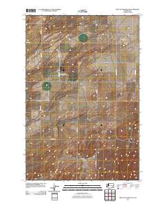 2011 Map of West of Washtucna, 2011 Print