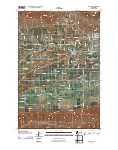 2011 Map of Wiley City, 2011 Print
