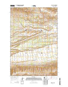 2013 Map of Wiley City, 2013 Print