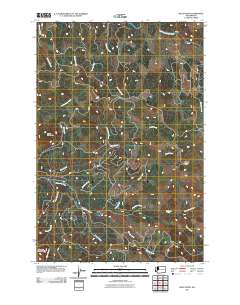 2011 Map of Wolf Point, 2011 Print