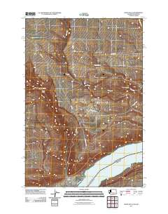 2011 Map of Wood Gulch, 2011 Print