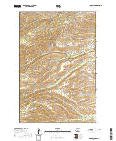 2020 Map of Yesmowit Canyon, 2020 Print