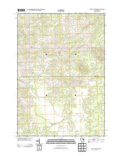 2013 Map of Dewey Marsh, 2013 Print