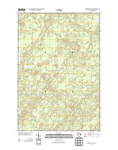 2013 Map of Empire Swamp, 2013 Print