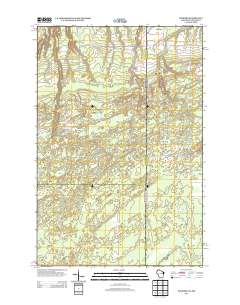 2013 Map of Foxboro, 2013 Print