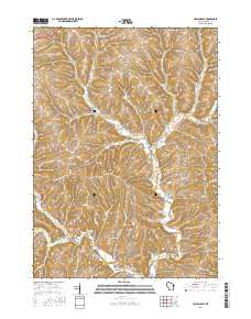 2016 Map of Hollandale, 2016 Print
