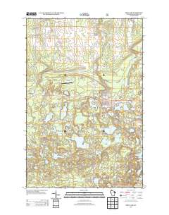 2013 Map of Iron Lake, 2013 Print