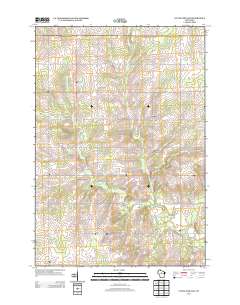 2013 Map of Little Chicago, 2013 Print