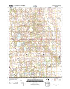 2013 Map of Paddock Lake, 2013 Print