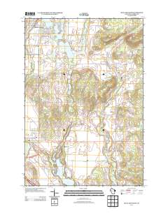 2013 Map of Rice Lake South, 2013 Print